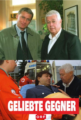 Geliebte Gegner poster