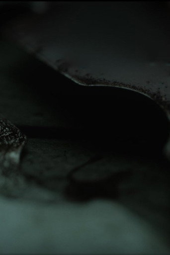 To Those Who Speak Waves poster