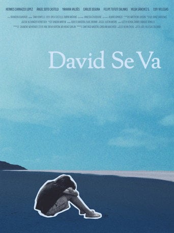 Movie poster for David Se Va