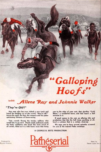 Movie poster for Galloping Hoofs (1924)