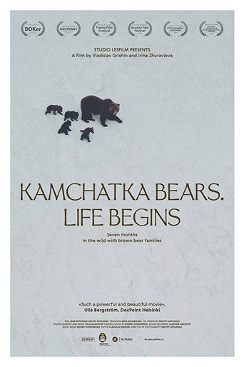 Movie poster for Kamchatka Bears. Life Begins (2018)