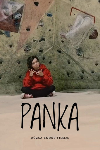 Movie poster for Panka (2017)