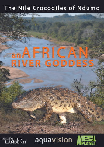 River Dragons of Ndumo poster