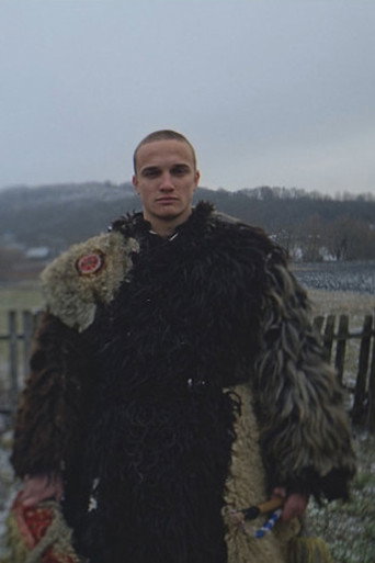 Ashes Settling in Layers on the Surface poster