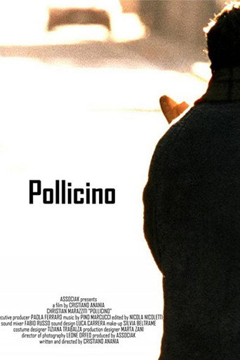 Movie poster for Pollicino