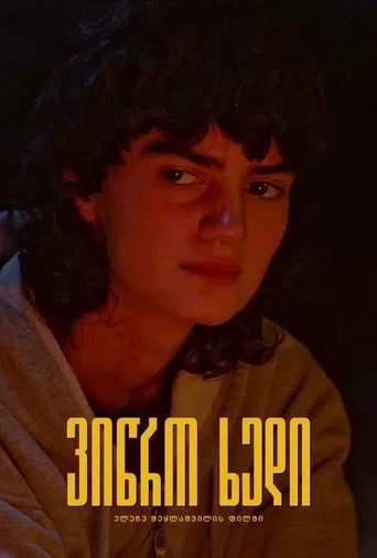 Movie poster for Narrow View (2024)