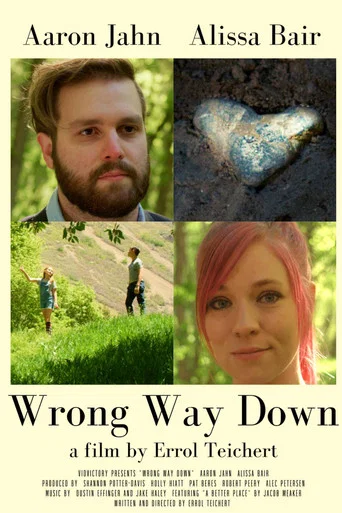 Movie poster for Wrong Way Down