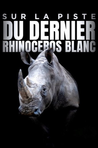 Movie poster for Sur la piste du dernier rhinocéros blanc (2022)