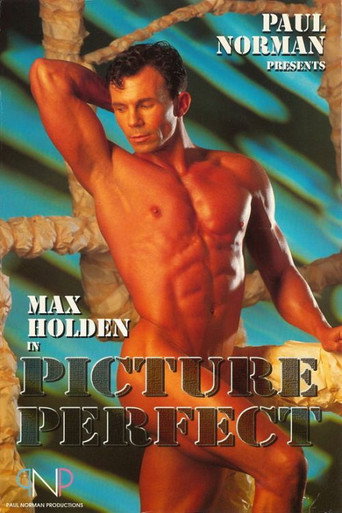 Movie poster for Picture Perfect (1993)