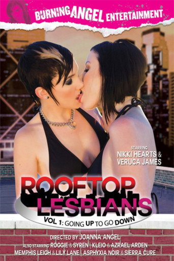 Movie poster for Rooftop Lesbians: Going Up to Go Down (2013)