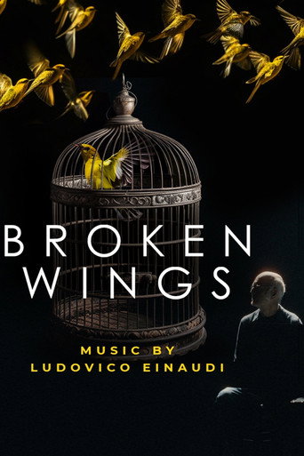 Movie poster for Broken Wings (2025)
