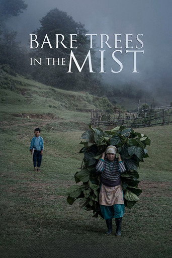 Movie poster for Bare Trees in the Mist (2019)