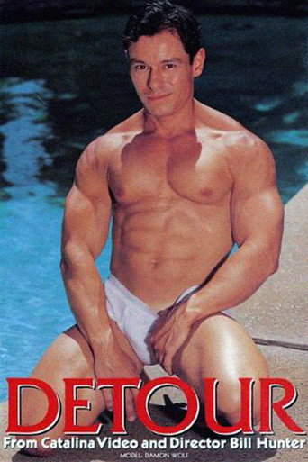 Movie poster for Detour (1997)
