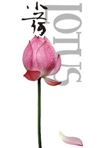 Movie poster for Lotus (2012)