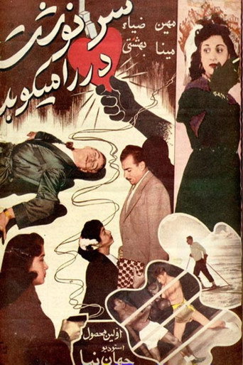 Movie poster for Destiny Is Knocking (1954)