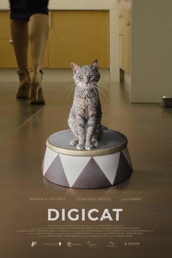 Digicica poster