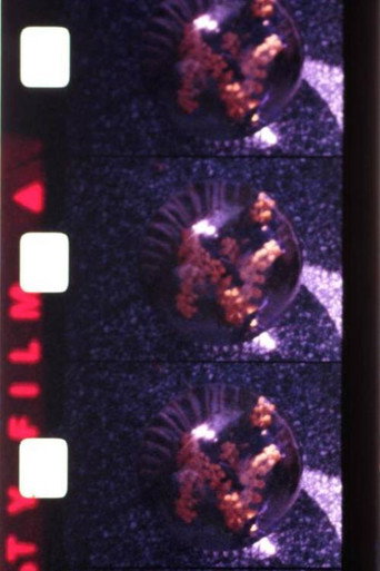 Movie poster for Ephemeral (1979)