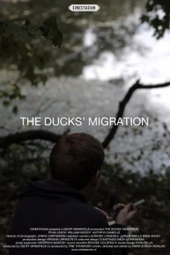 Movie poster for The Ducks' Migration (2012)