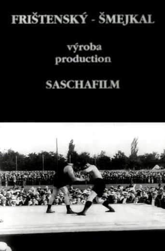 Movie poster for Frištenský - Šmejkal (1913)