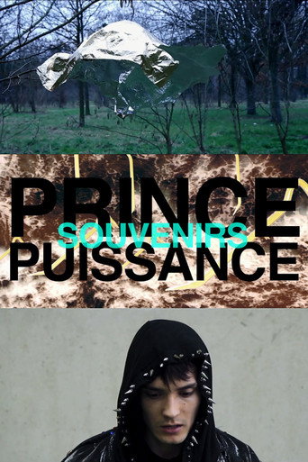 Movie poster for Prince, puissance, souvenirs (2012)