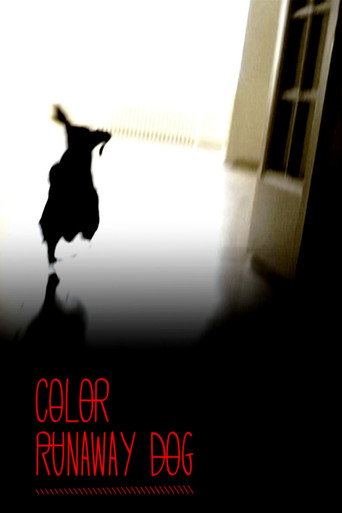 Movie poster for Color Runaway Dog (2011)