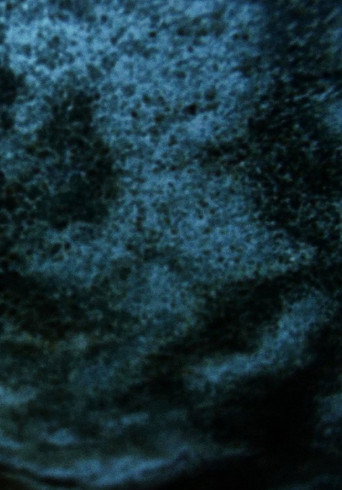 Movie poster for Salt Lake (2009)