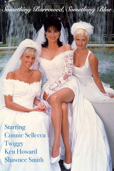Something Borrowed, Something Blue poster