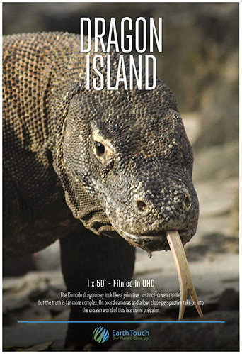 Movie poster for Dragon Island (2016)