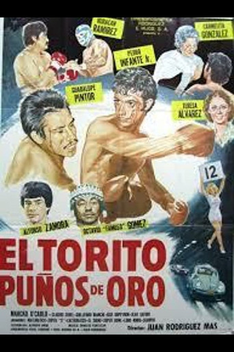 Movie poster for El torito puños de oro (1979)