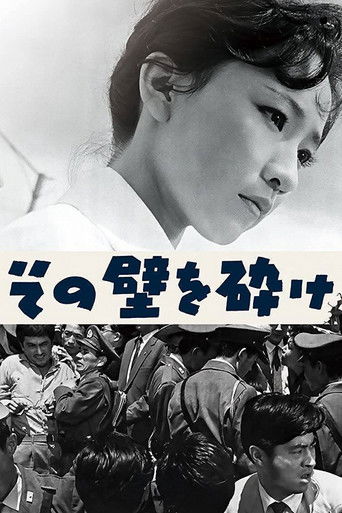 Break Down that Wall poster