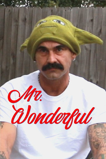 Movie poster for Mr. Wonderful (2022)