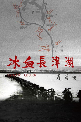 Movie poster for 冰血长津湖 (2011)
