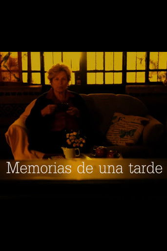 Memorias de una tarde poster