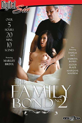Movie poster for The Family Bond 2 (2016)