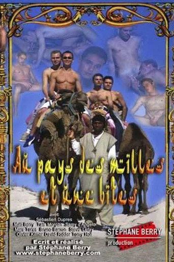 Movie poster for Au pays des mille et une bites (2002)