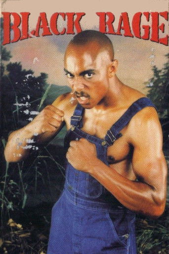 Catch the Black Sunshine poster