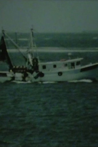 Movie poster for Shrimp Boat Log (2006)