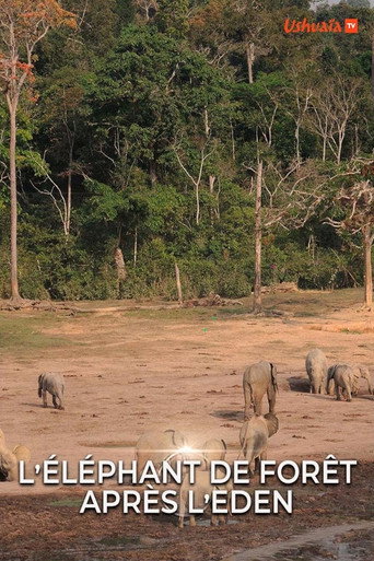 Movie poster for L' éléphant de forêt après l'éden (2016)
