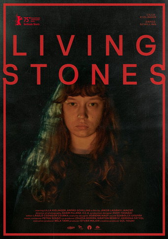 Movie poster for Living Stones (2025)