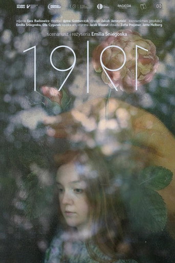Movie poster for 19.91 (2019)