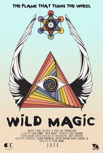 Wild Magic poster