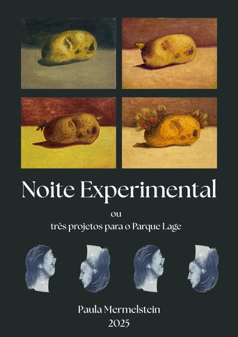 Movie poster for Noite Experimental (2026)