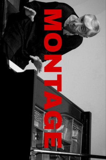 Movie poster for Montage (2015)