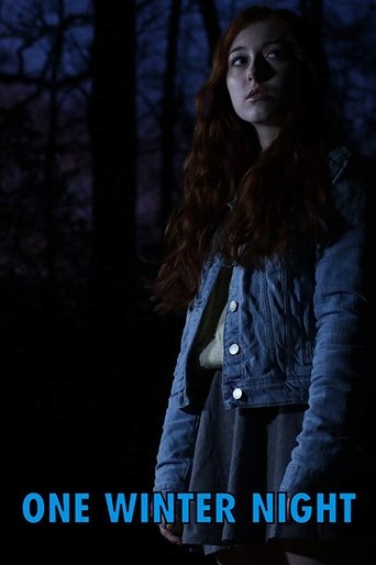 One Winter Night poster