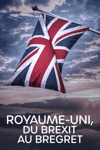 Movie poster for Royaume-Uni, du Brexit au Bregret (2024)
