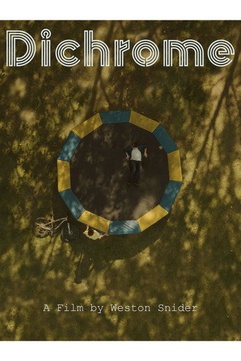 Movie poster for Dichrome (2020)