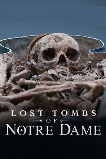 Lost Tombs of Notre Dame poster