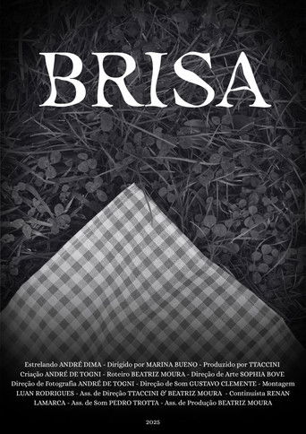 Brisa poster