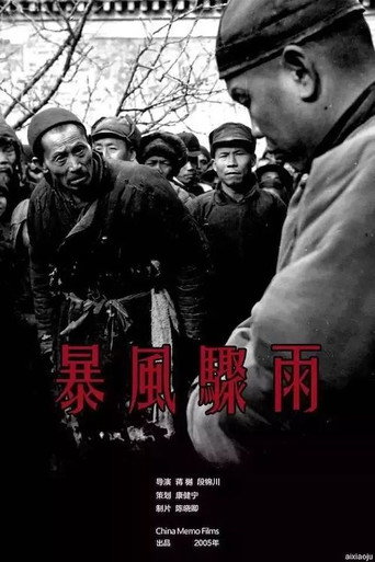 Movie poster for The Storm (2005)