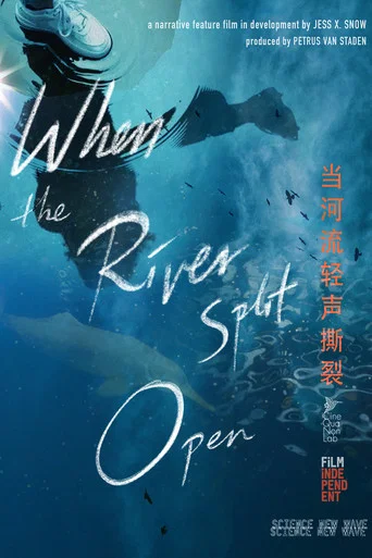 Movie poster for When the River Split Open